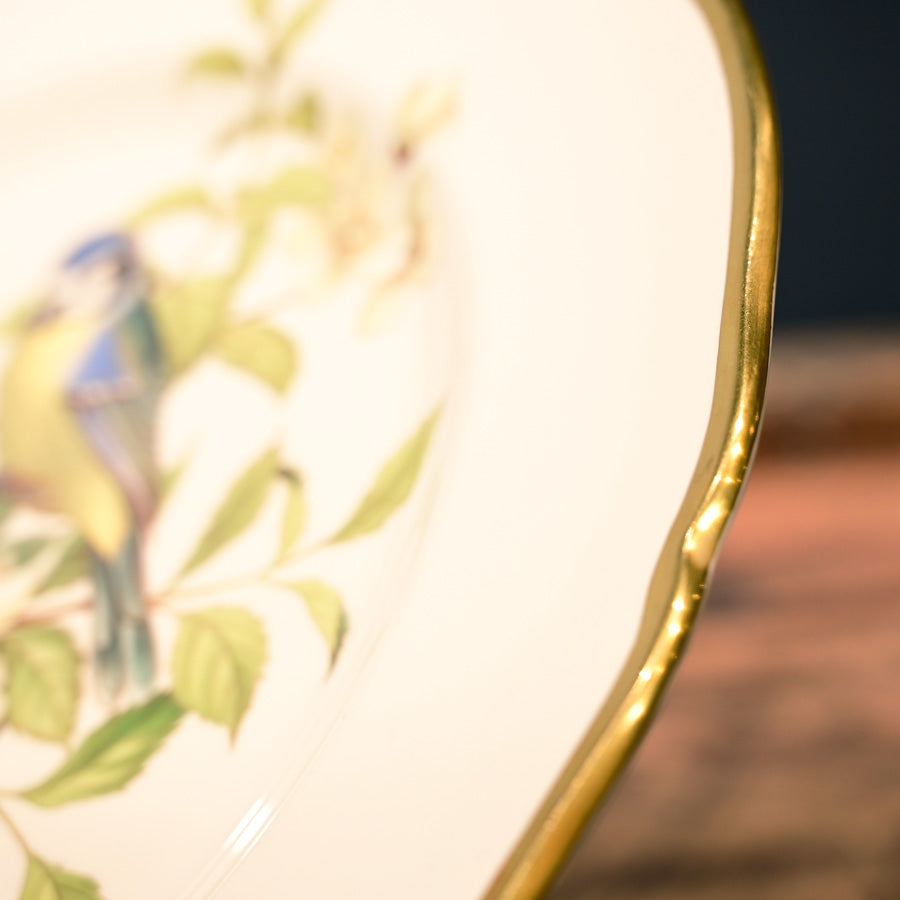 Plato porcelana bone china Spode aves británicas Blue Titmouse