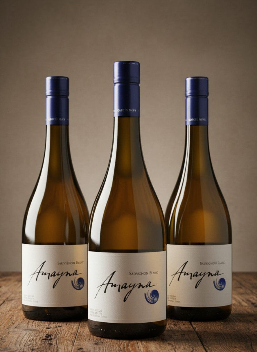 Vino Garcés Silva Amayna Sauvignon Blanc 2026 D.O.San Antonio x 3 BOTELLAS