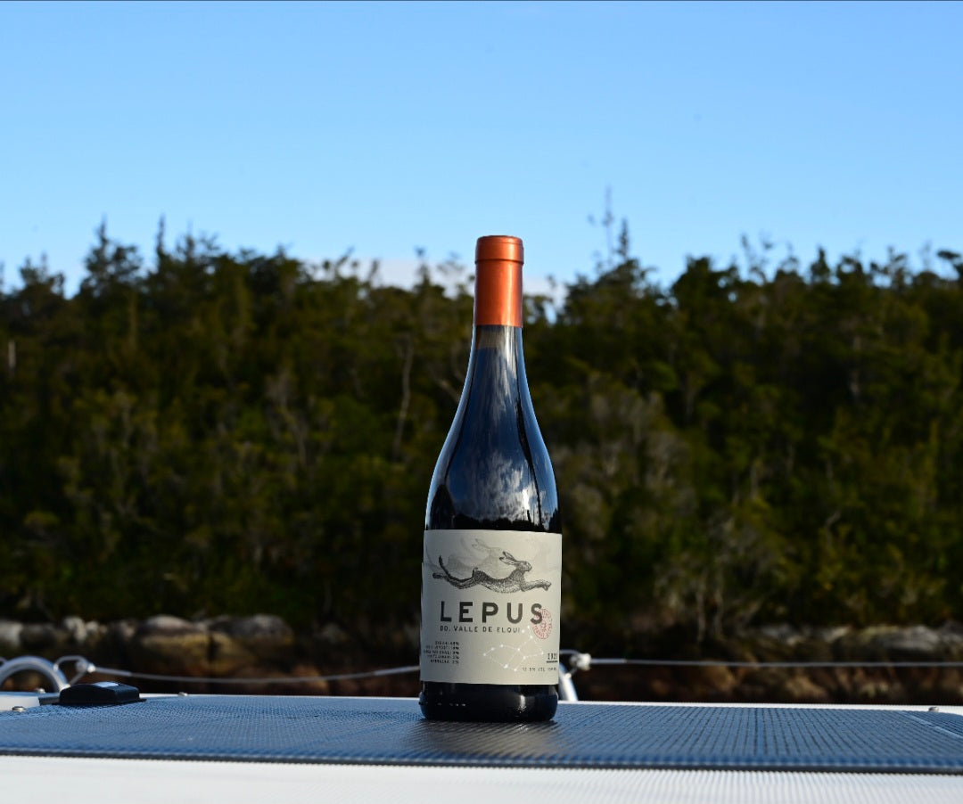 Vino Viñedos de Alcohuaz Lepus 2021 Ensamblaje  D.O. Elqui 6 BOTELLAS