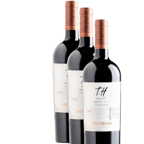 Vino Undurraga Merlot T.H. 2022 D.O. Casablanca x 3 BOTELLAS