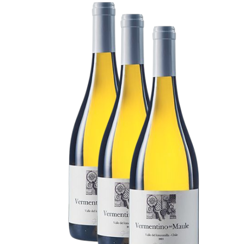 Vino Gillmore Vermentino 2023 D.O Maule x 3 BOTELLAS