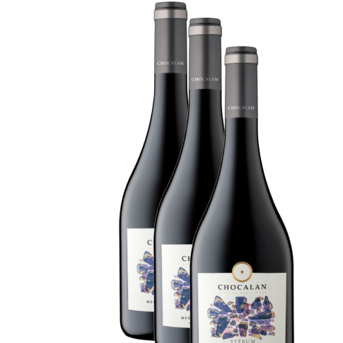 Vino Chocalan Ensamblaje Vitrum Mediterráneo 2021 D.O. Maipo Costa 3 BOTELLAS