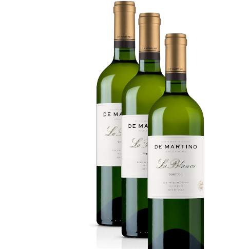 Vino De Martino La Blanca 2022 D.O. Maipo X 3 BOTELLAS