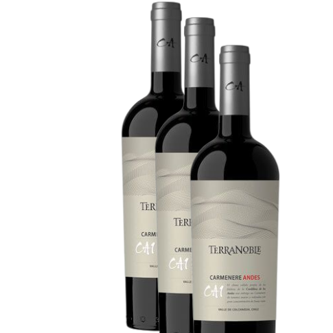 Vino Terranoble CA1 Andes Carmenere 2021 D.O. Colchagua Andes x 3 BOTELLAS