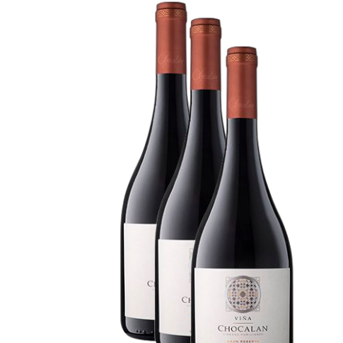 Vino Chocalán Origen Syrah 2023 D.O. Maipo x 3 BOTELLAS