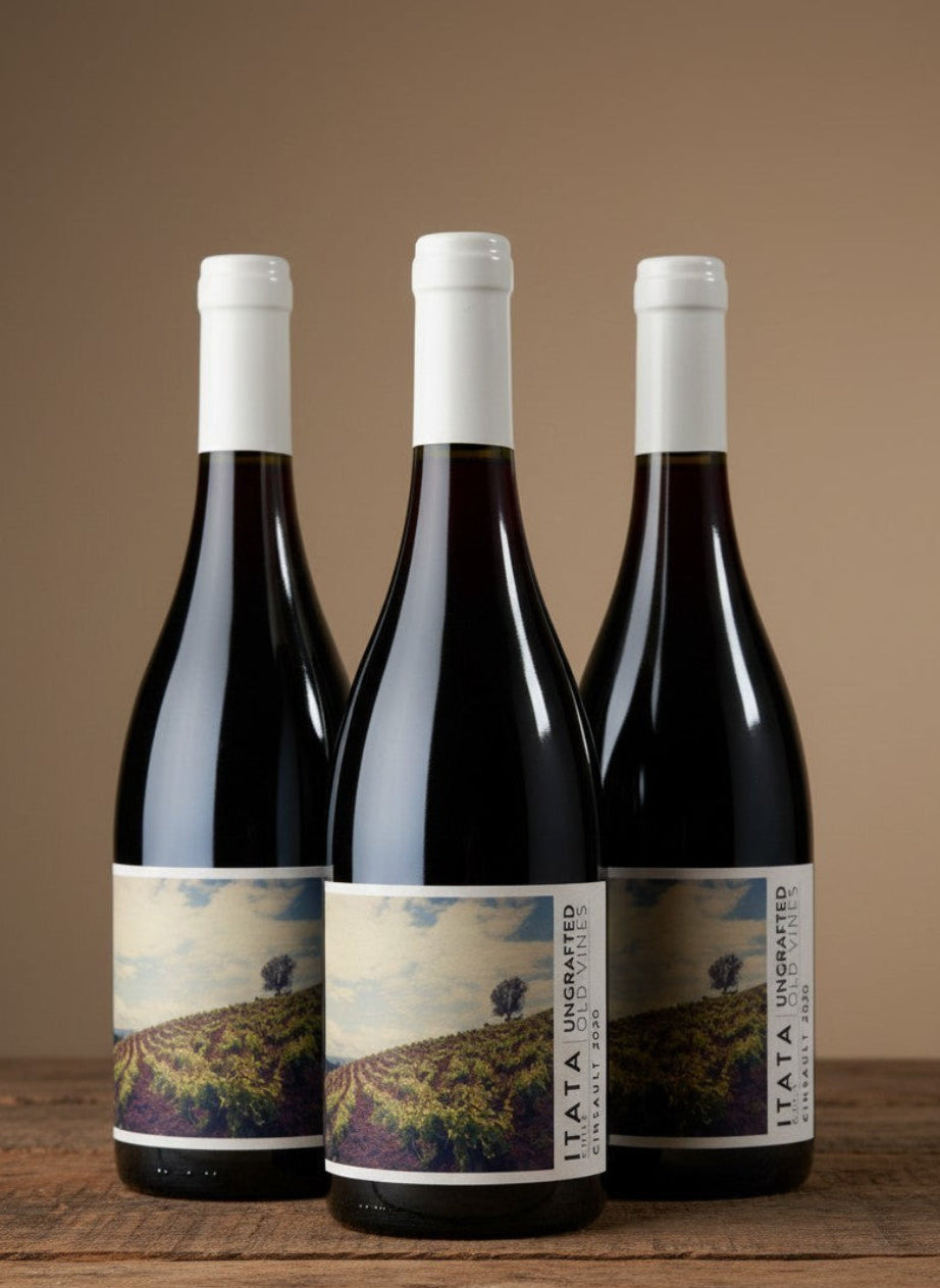Vino De Martino Ungrafted Cinsault 2024 D.O. Itata x 3 BOTELLAS