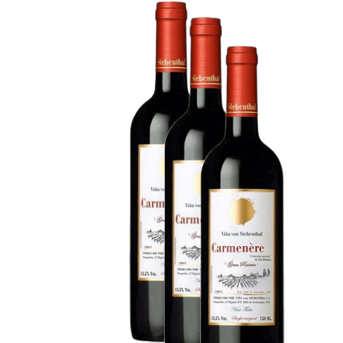 Vino Von Siebenthal Carmenere 2021 D.O. Aconcagua x 3 BOTELLAS