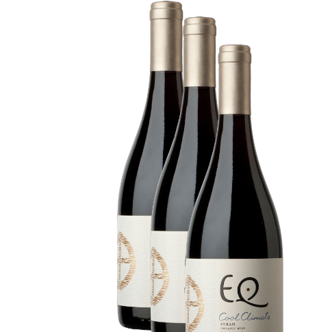 Vino Matetic EQ Syrah 2015 D.O. San Antonio x 3 BOTELLAS