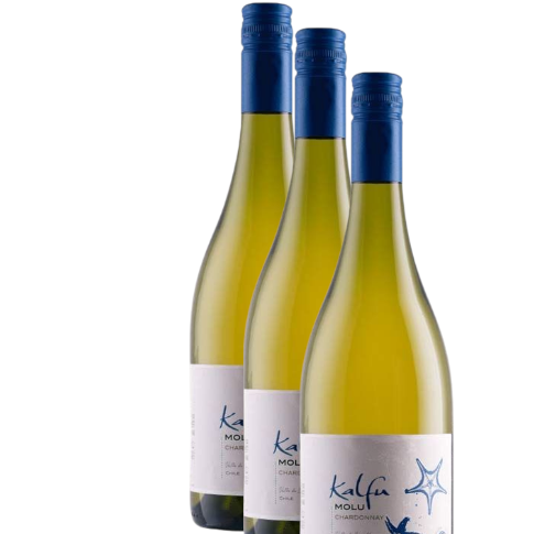 Vino Kalfu Molu Reserva Chardonnay 2023 D.O. Leyda x 3 BOTELLAS