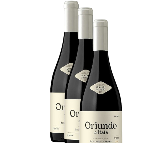 Vino Gonzalo Guzman Oriundo Cinsault 2023  D.O. Itata  (Coelemu)  X 3 BOTELLAS
