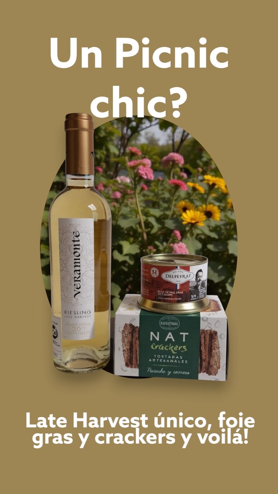 Regalo Picnic Chic  EXCLUSIVO ONLINE!!!