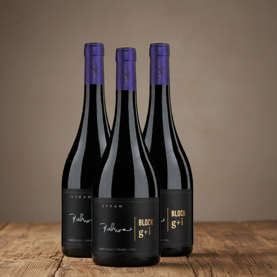 Vino Polkura  Block G+I Syrah 2022 D.O. Marchigüe (Colchagua Costa)