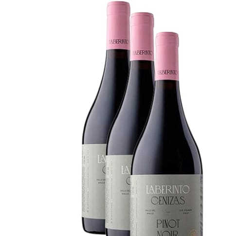Vino Laberinto Las Cenizas Pinot Noir 2022 D.O.Maule X 3 BOTELLAS