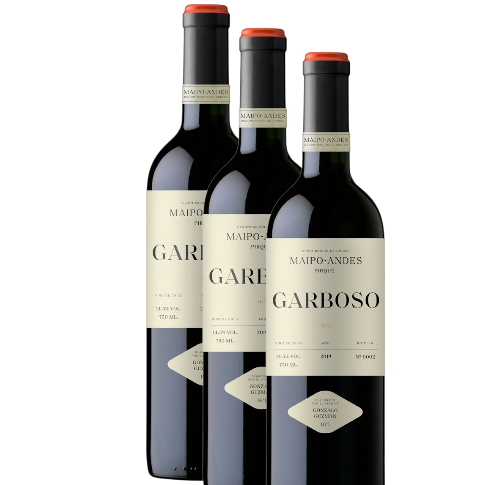 Vino Gonzalo Guzmán Garboso Ensamblaje 2021 D.O. Maipo Alto