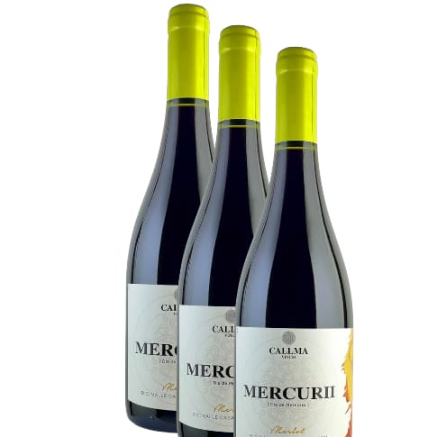Vino Callma Mercuri Merlot 2021 D.O. Casablanca