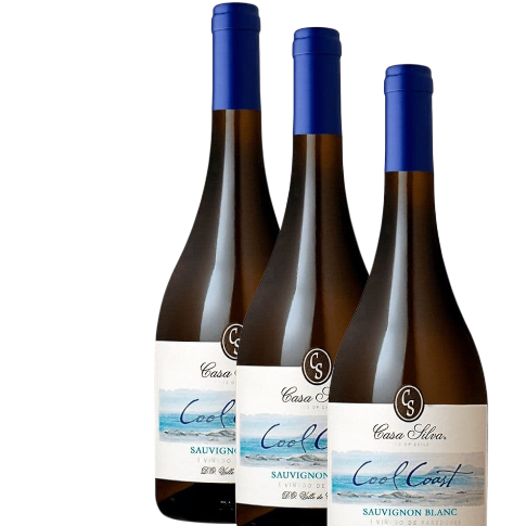 Vino Casa Silva Cool Coast Sauvignon Blanc 2024 D.O. Paredones  x 3 BOTELLAS