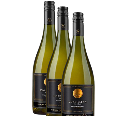 Vino Miguel Torres Cordillera Sauvignon Blanc 2023 D.O Rio Bueno (Osorno)  x 3 BOT.