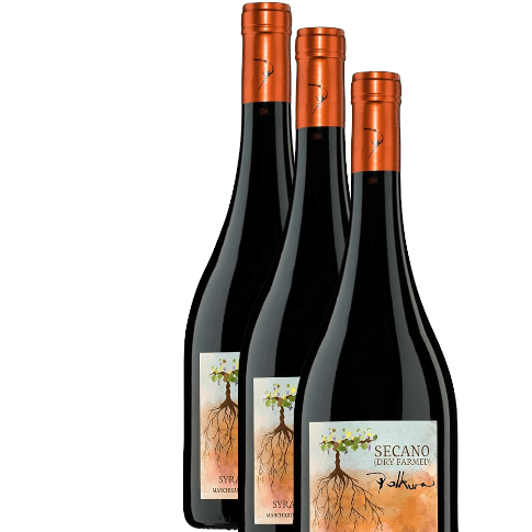 Vino Polkura Secano Syrah 2021 D.O. Marchigüe (Colchagua Costa) x 3 BOTELLAS