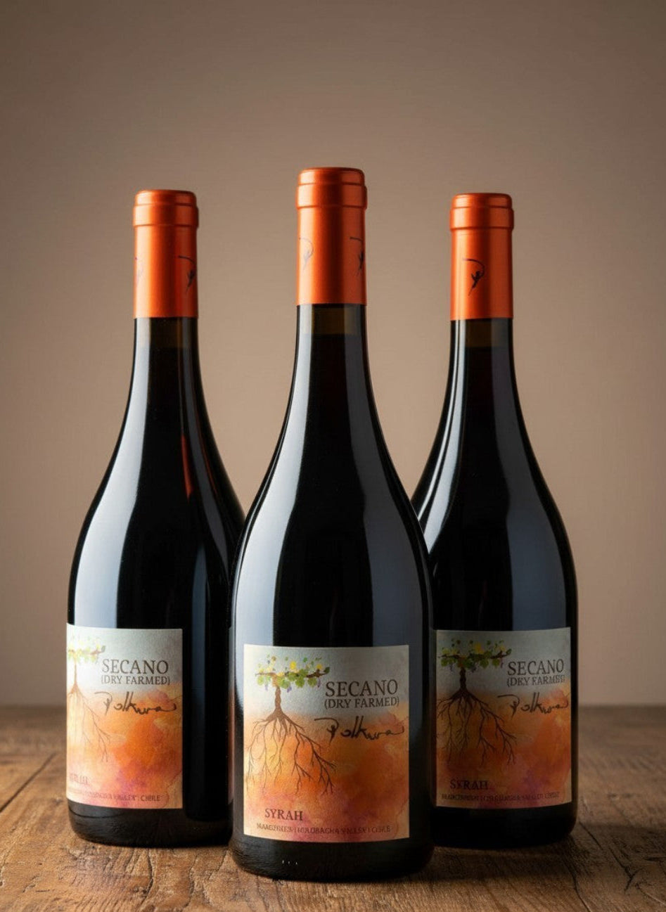 Vino Polkura Secano Syrah 2021 D.O. Marchigüe (Colchagua Costa) x 3 BOTELLAS
