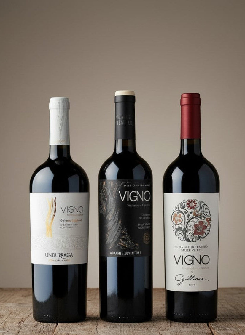 Vino Selección VIGNO Carignan Imperdibles x 3 Botellas