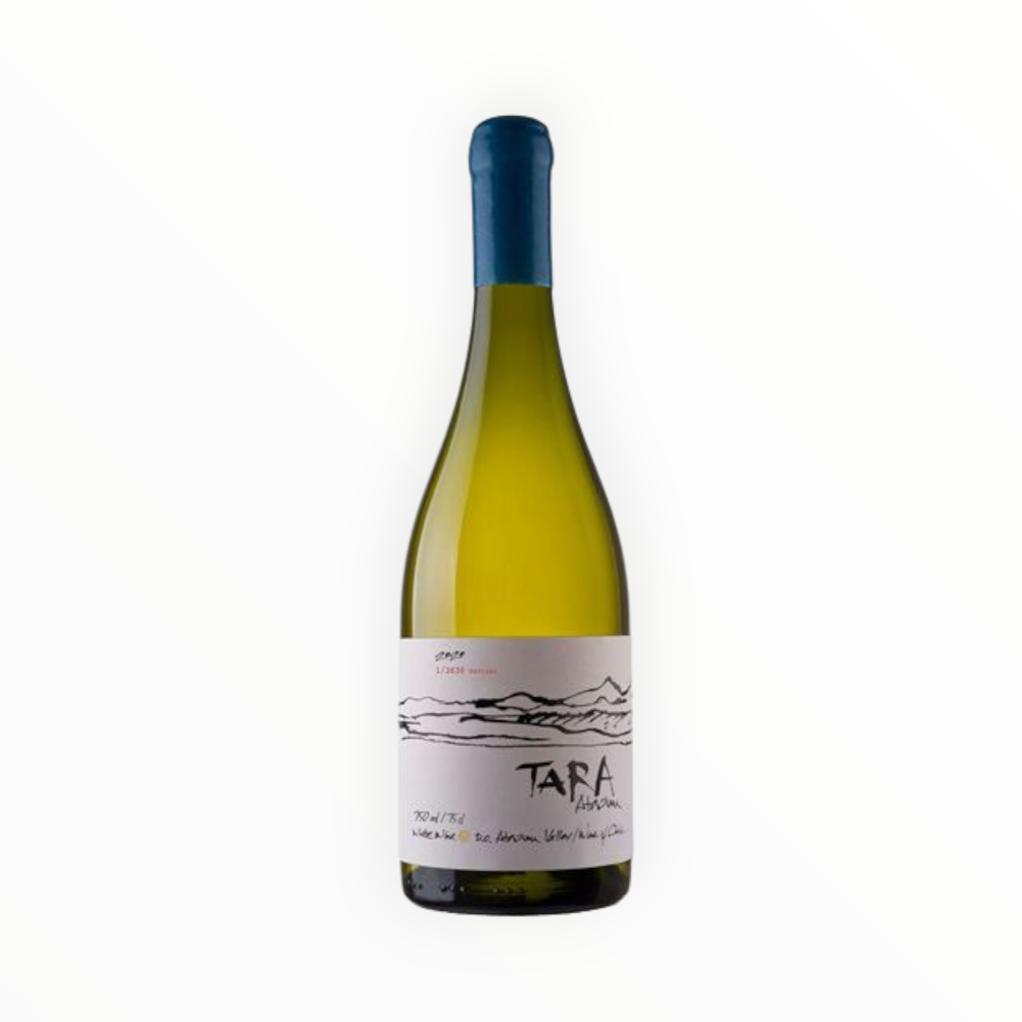 Vino Tara Ventisquero Sauvignon Blanc 2022 D.O. Atacama