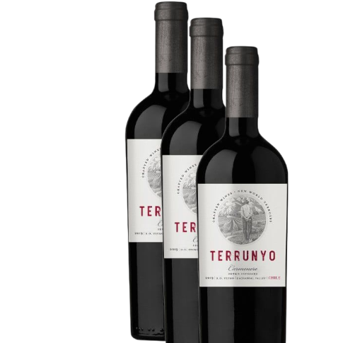 Vino Concha y Toro Terrunyo Carmenere 2021 D.O.Peumo (Cachapoal) x 3 BOTELLAS