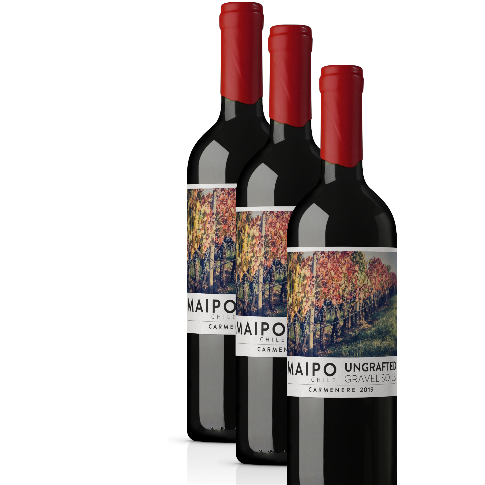 Vino De Martino Ungrafted Carmenere 2023 D.O. Maipo x 3 BOTELLAS