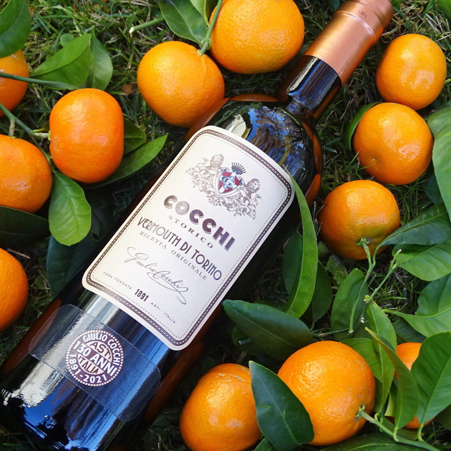 Vermouth Cocchi  di Torino D.O. Italia