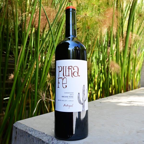 Vino Antiyal Carmenere Pura Fé 2021, D.O. Maipo 3 BOTELLAS